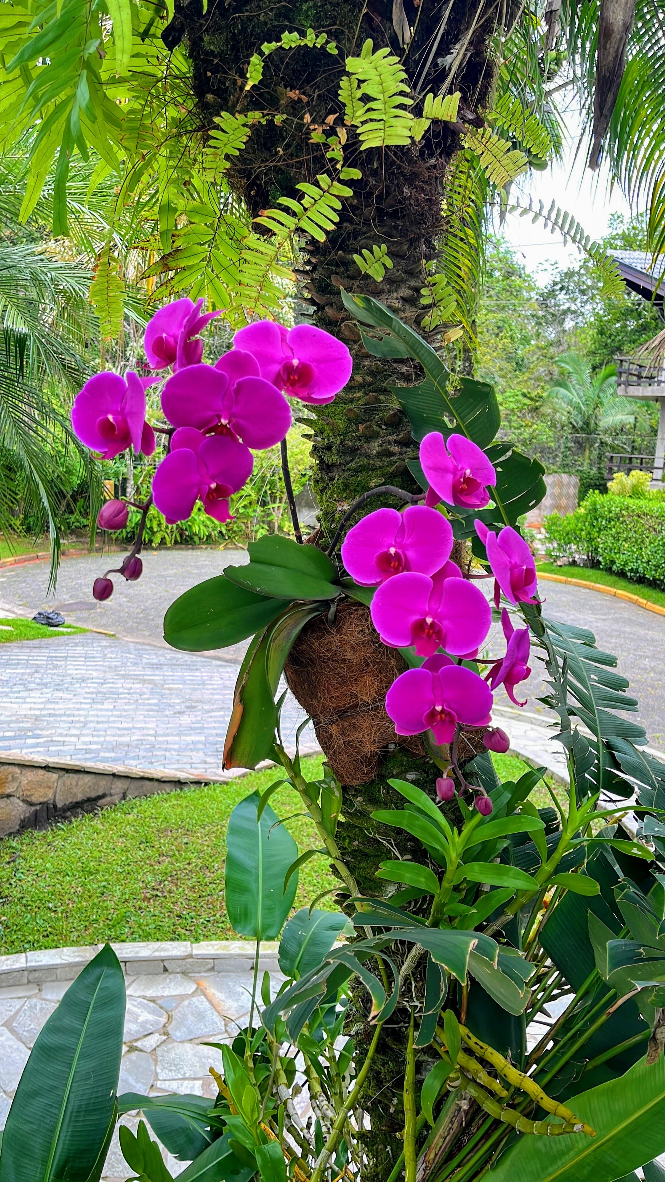 Sobrado com preço de ocasião - foto 2